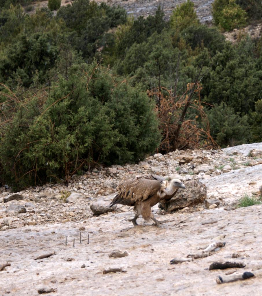 2012-Spanje (126)